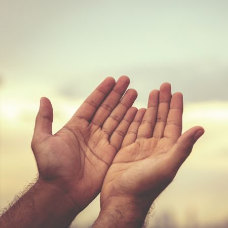 Praying Hands